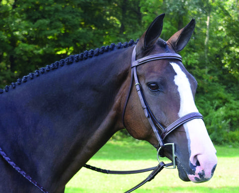 Black Oak Spruce Hunter Bridle