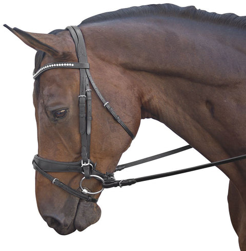 Marcel Toulouse Comfort Caveson Dressage Bridle