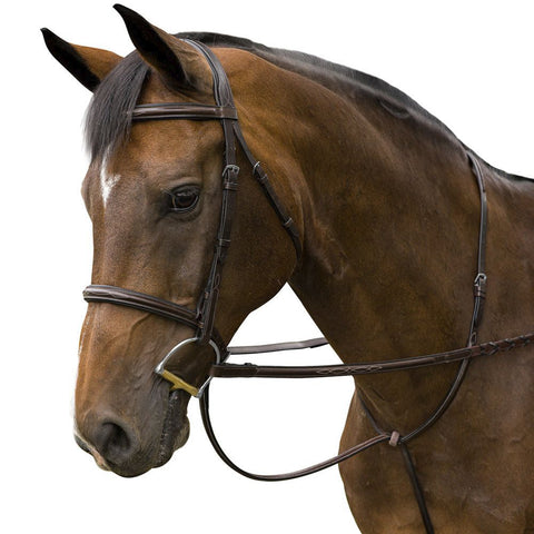 Marcel Toulouse Novice Hunter Bridle