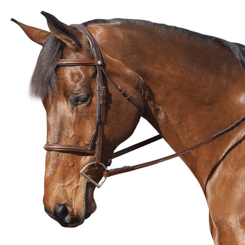 Marcel Toulouse Novice Hunter Bridle