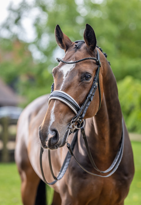 LeMieux® Kudos Patent Double Bridle