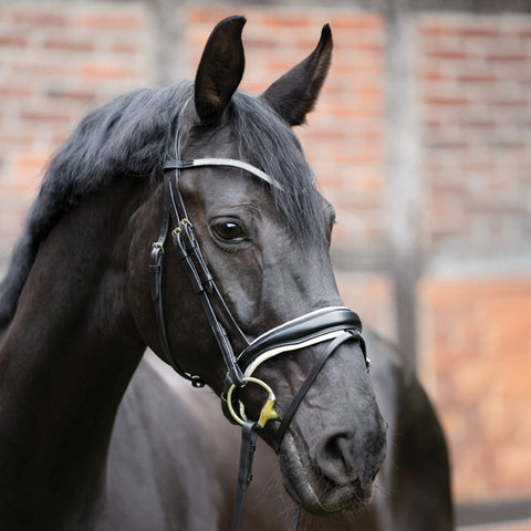Kavalkade Stardurst Browband