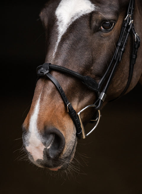 Stübben Pro Jump Bridle with Rope Noseband & Removable Flash