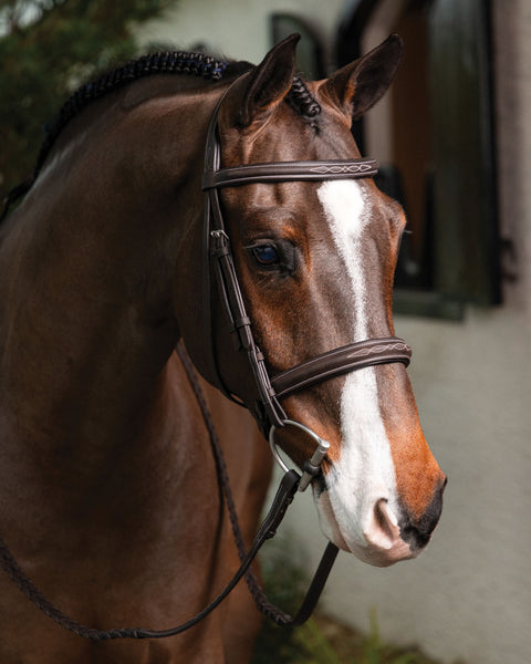 LeMieux® Hunter-Stitched Bridle