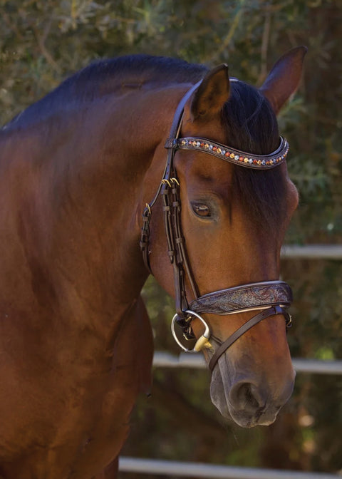 Halter Ego® Aspen Snaffle Bridle