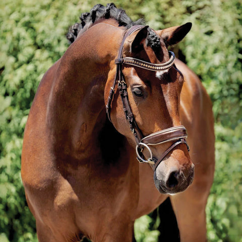Halter Ego® Catalonia Snaffle Bridle