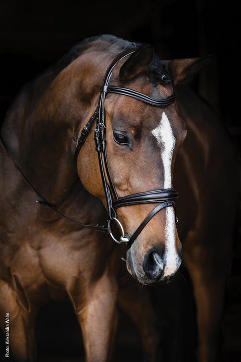 Schockemöhle Monza Bridle