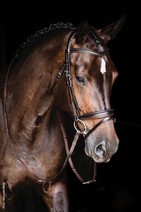 Schockemöhle Monza Bridle
