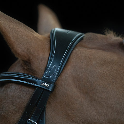 Schockemöhle Monza Fancy Stitched Bridle