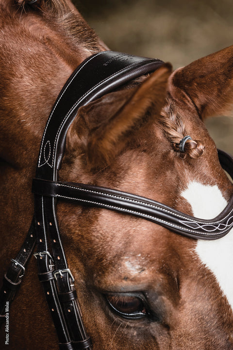 Schockemöhle Monza Fancy Stitched Bridle