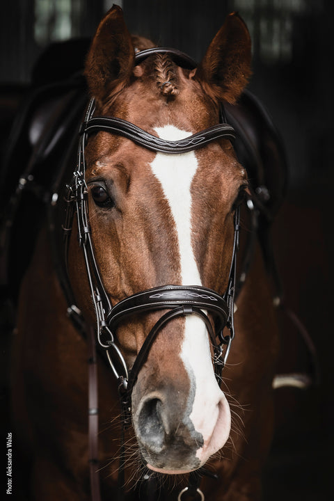 Schockemöhle Monza Fancy Stitched Bridle