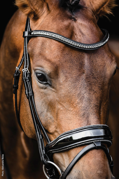 Schockemöhle Standford Glam Bridle