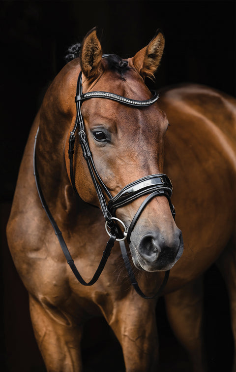 Schockemöhle Standford Glam Bridle