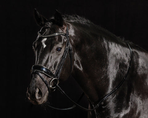 Schockemöhle Standford Glam Bridle