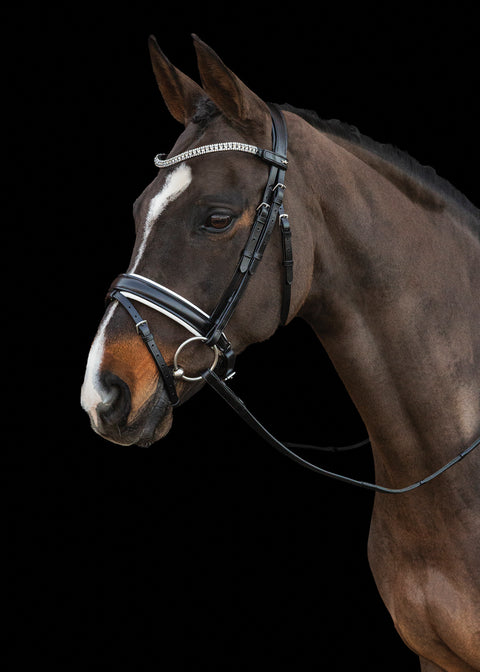 Schockemöhle Malaga Bridle