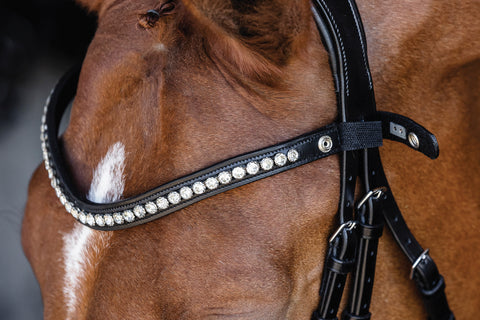 Schockemöhle Pisa Drop Nose Bridle