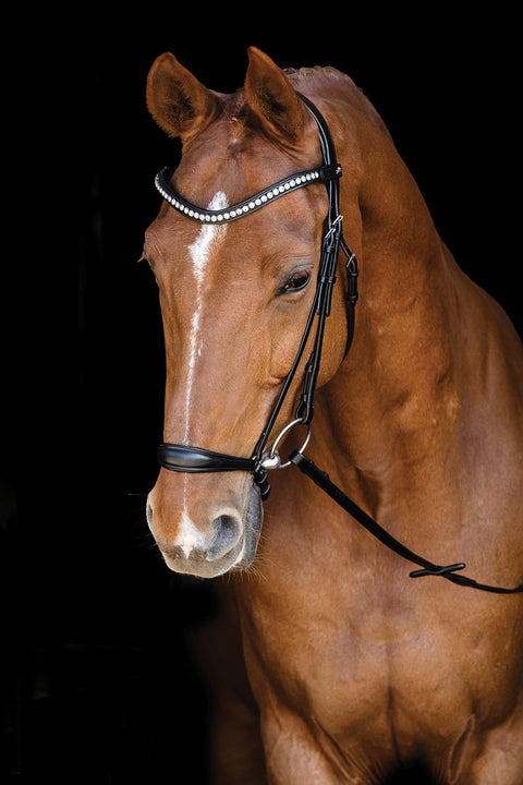 Schockemöhle Pisa Drop Nose Bridle