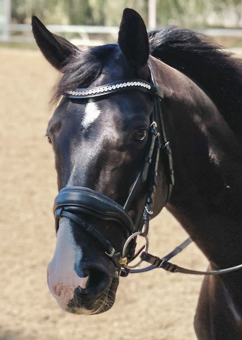 Halter Ego Brixton Snaffle Bridle