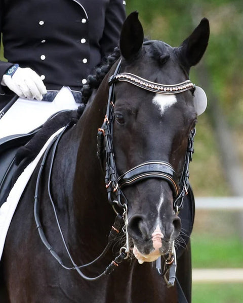 Halter Ego Aurelia Rose Gold Black Patent Double Bridle