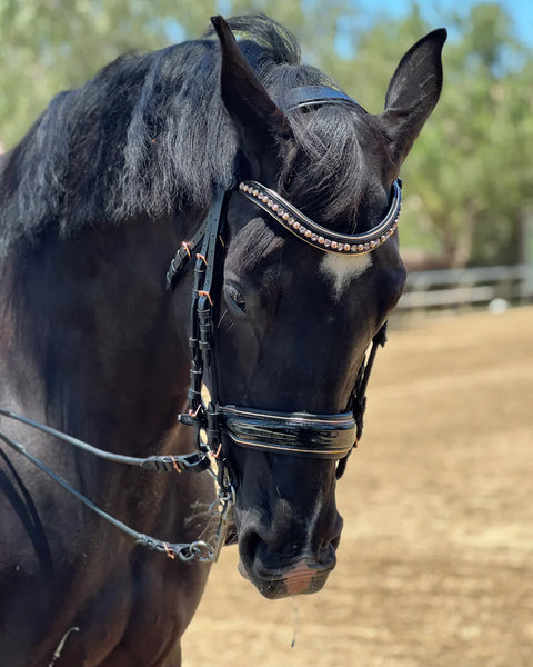 Halter Ego Aurelia Rose Gold Black Patent Double Bridle