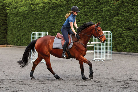 Collegiate® Honour Close Contact Saddle