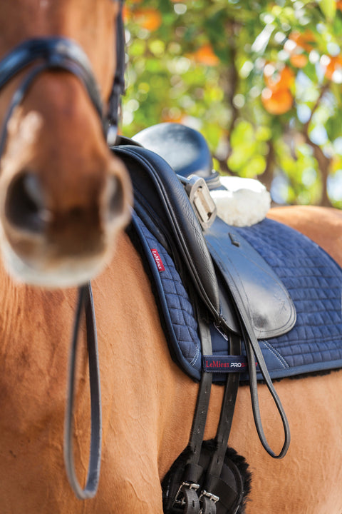 LeMieux® Sensitive Skin Dressage Pad - Square Pads