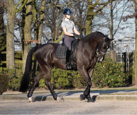 LeMieux® Carbon Mesh Air Dressage Square