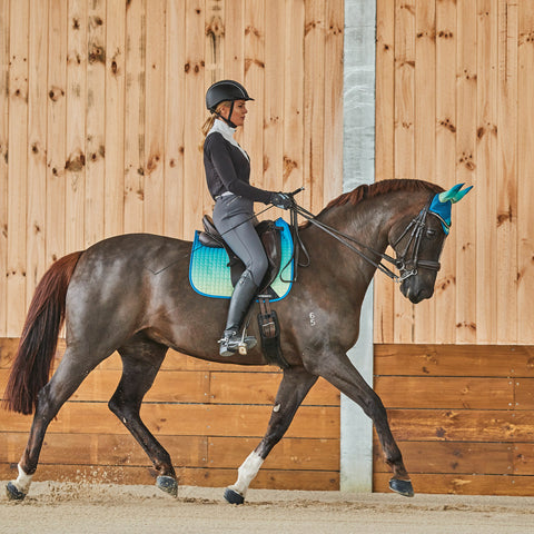WeatherBeeta® Prime Ombré Dressage Pad