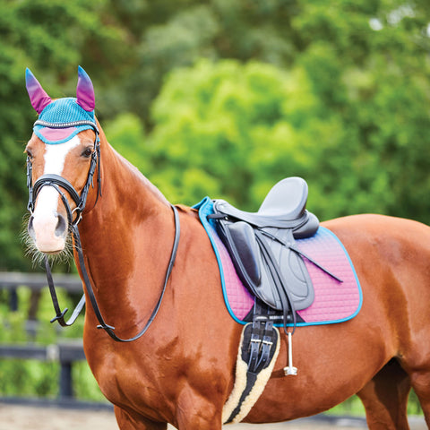 WeatherBeeta® Prime Ombré Dressage Pad