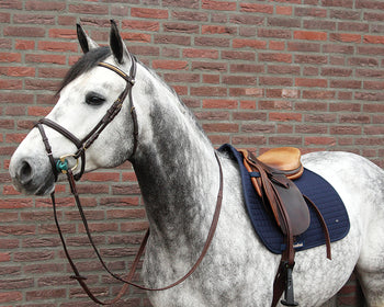 Back on Track® All-Purpose Saddle Pad