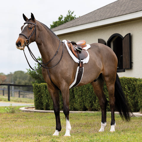 LeMieux® Merino+ Hunter Saddle Pad