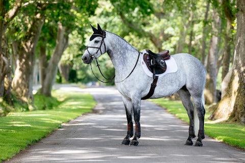 LeMieux® Suede GP Saddle Pad