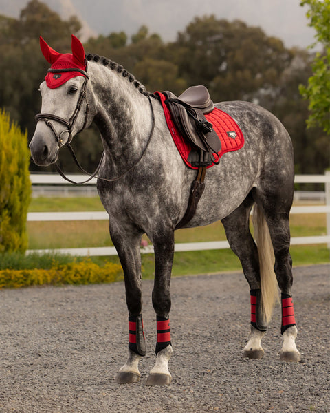 LEMIEUX® LOIRE GP SADDLE PAD