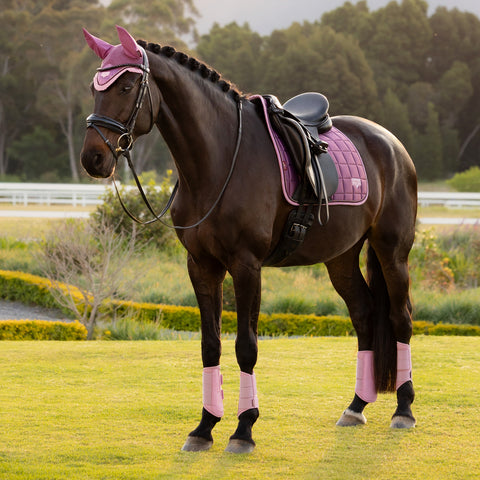 LeMieux® Loire Dressage Saddle Pad