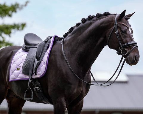 Equestrian Stockholm Classic Dressage Saddle Pad