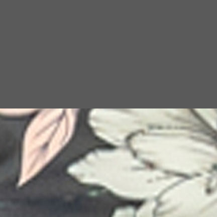 Kastel Denmark Ladies’ Sondra Quarter-Zip Long-Sleeve Raglan Shirt