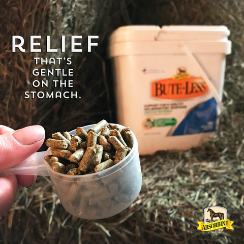Absorbine® Bute-Less® Comfort & Recovery Supplement Pellets, 2 Pounds