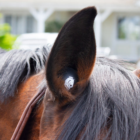 Equinavia Ear Buds (Three Pairs)