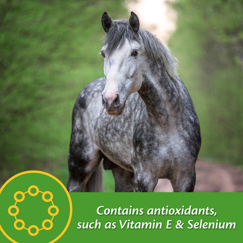 Farnam® Vita Plus® Balanced Multi-Vitamin & Mineral Supplement