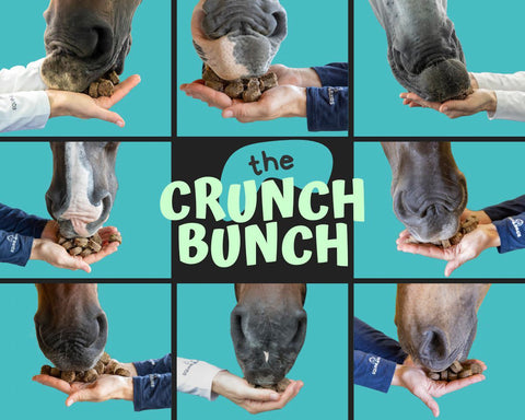 Equine Elixirs Tummy Crunchies Antacid Crunchies - 17 servings