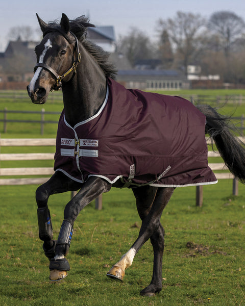 Horseware® Ireland Amigo® Hero Ripstop 50 Gram Lite Turnout Blanket