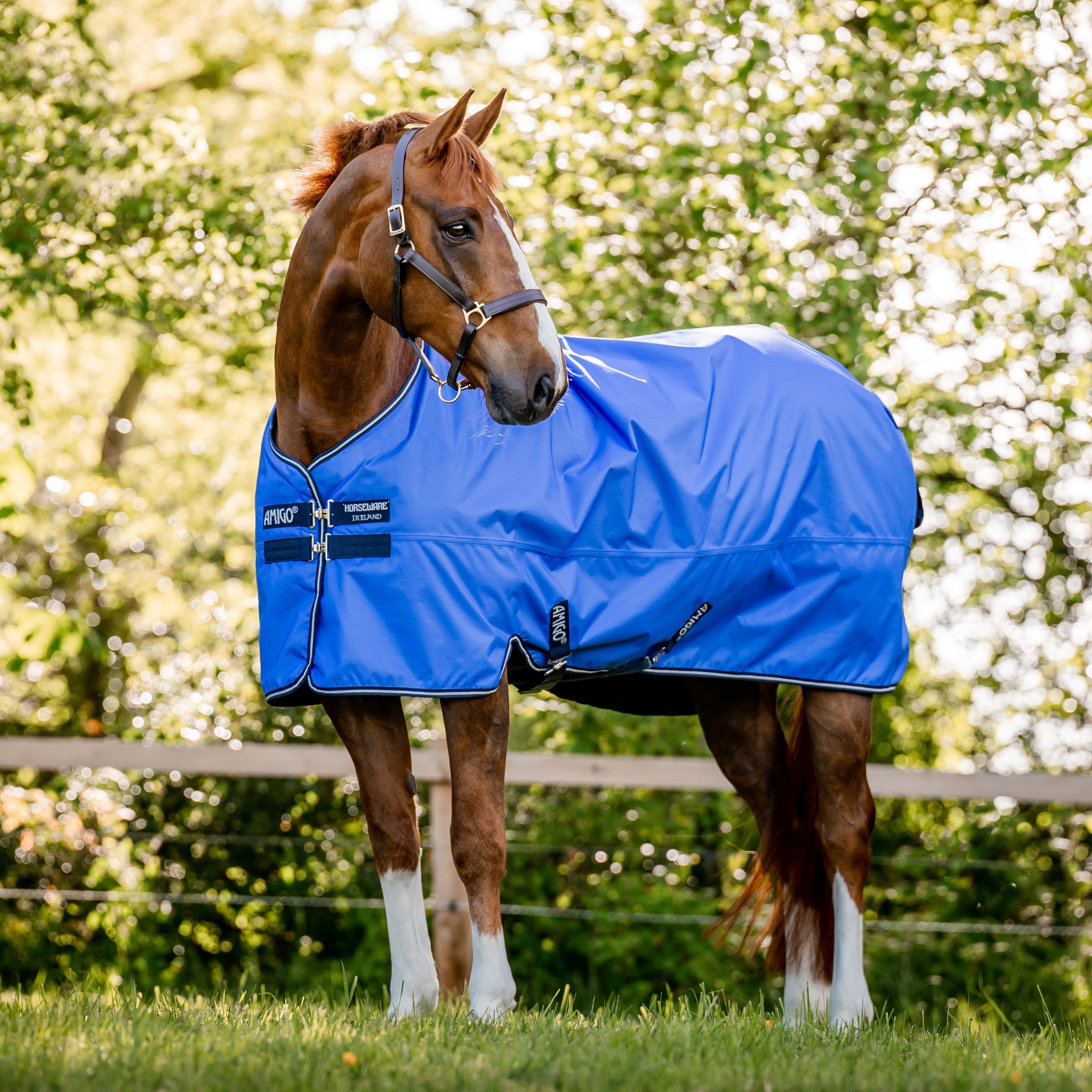 Couverture Cheval Horseware Amigo Hero 50g – Imperméable Blue Haze/Navy