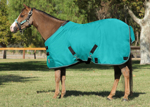 Kensington™ Pony All Around Lightweight Pony Turnout Blanket