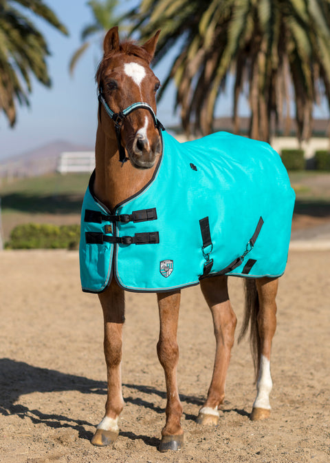 Kensington™ Pony All Around Lightweight Pony Turnout Blanket