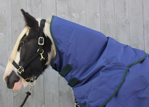 Shires Highlander 200G Neck Cover