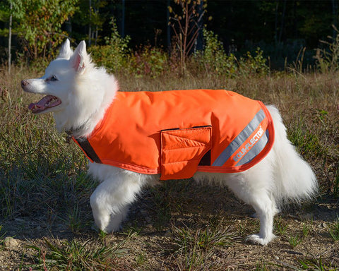 Shires Digby & Fox L-XXL Waterproof Dog Coat