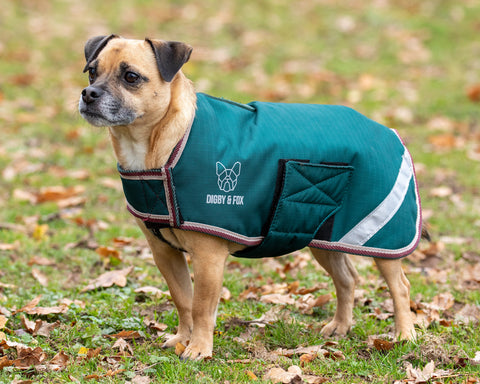 Shires Digby & Fox L-XXL Waterproof Dog Coat