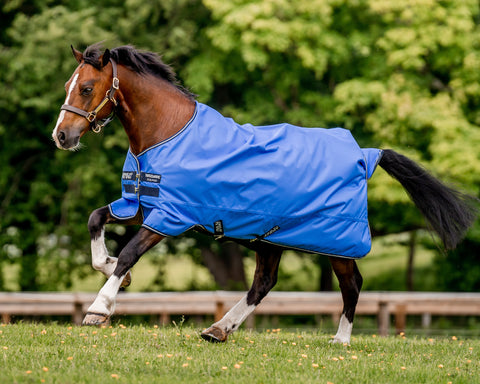 Horseware® Amigo® Hero Ripstop Lite - 0 grams - Blue/Navy/Grey / 66 - Turnout Sheets