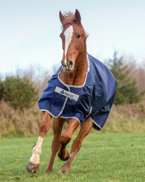 Bucas Atlantic 200 Gram Turnout Blanket
