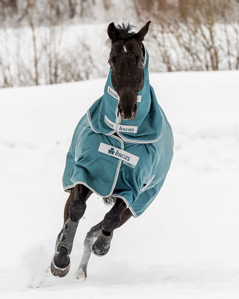 Bucas Atlantic 200 Gram Turnout Blanket